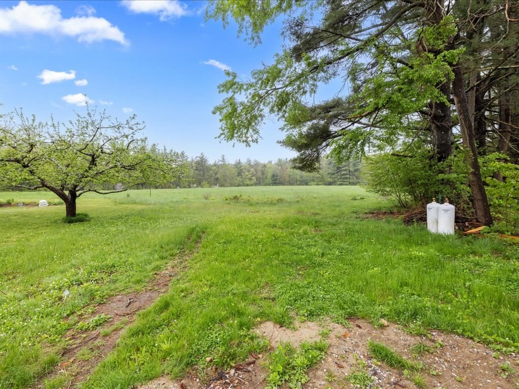 5 Northeast Fitzwilliam Road Royalston, MA 01368 - Photo 37 of 37 a view of a garden with a tree