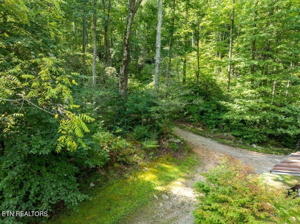 10 Carrs Creek Road Townsend, TN 37882 - Photo 16 of 19 Gallery Image 16