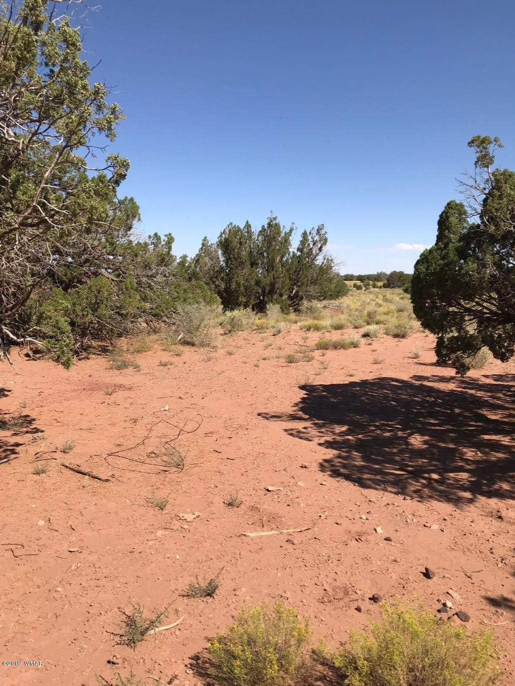 45 County Rd N9005 Concho, AZ 85924 - Photo 2 of 10 3
