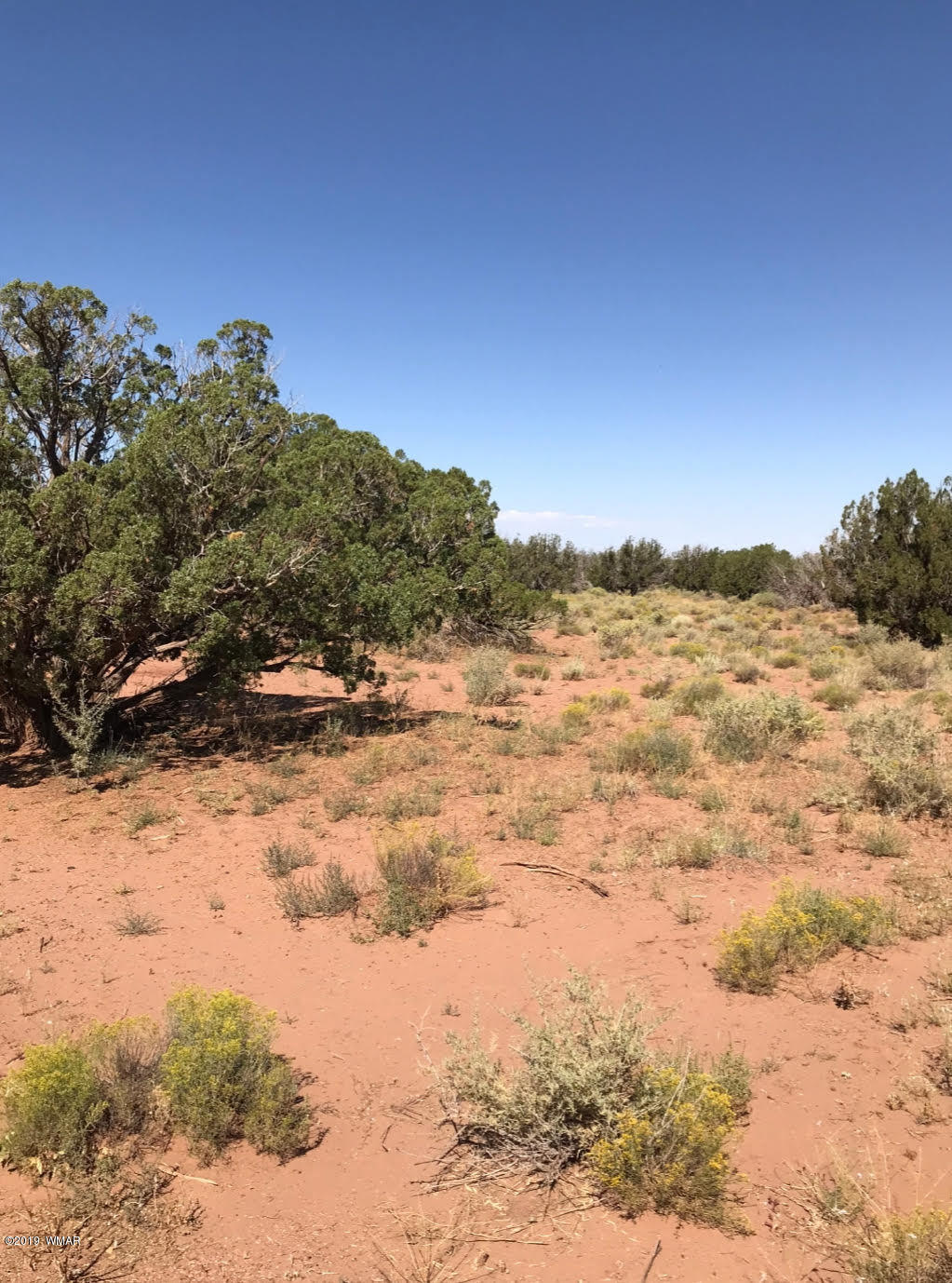 45 County Rd N9005 Concho, AZ 85924 - Photo 3 of 10 7