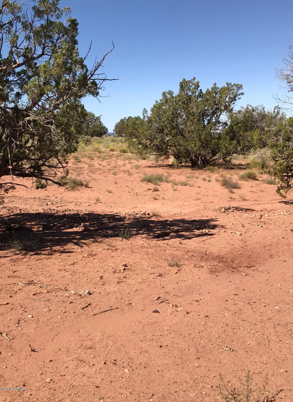 45 County Rd N9005 Concho, AZ 85924 - Photo 4 of 10 10