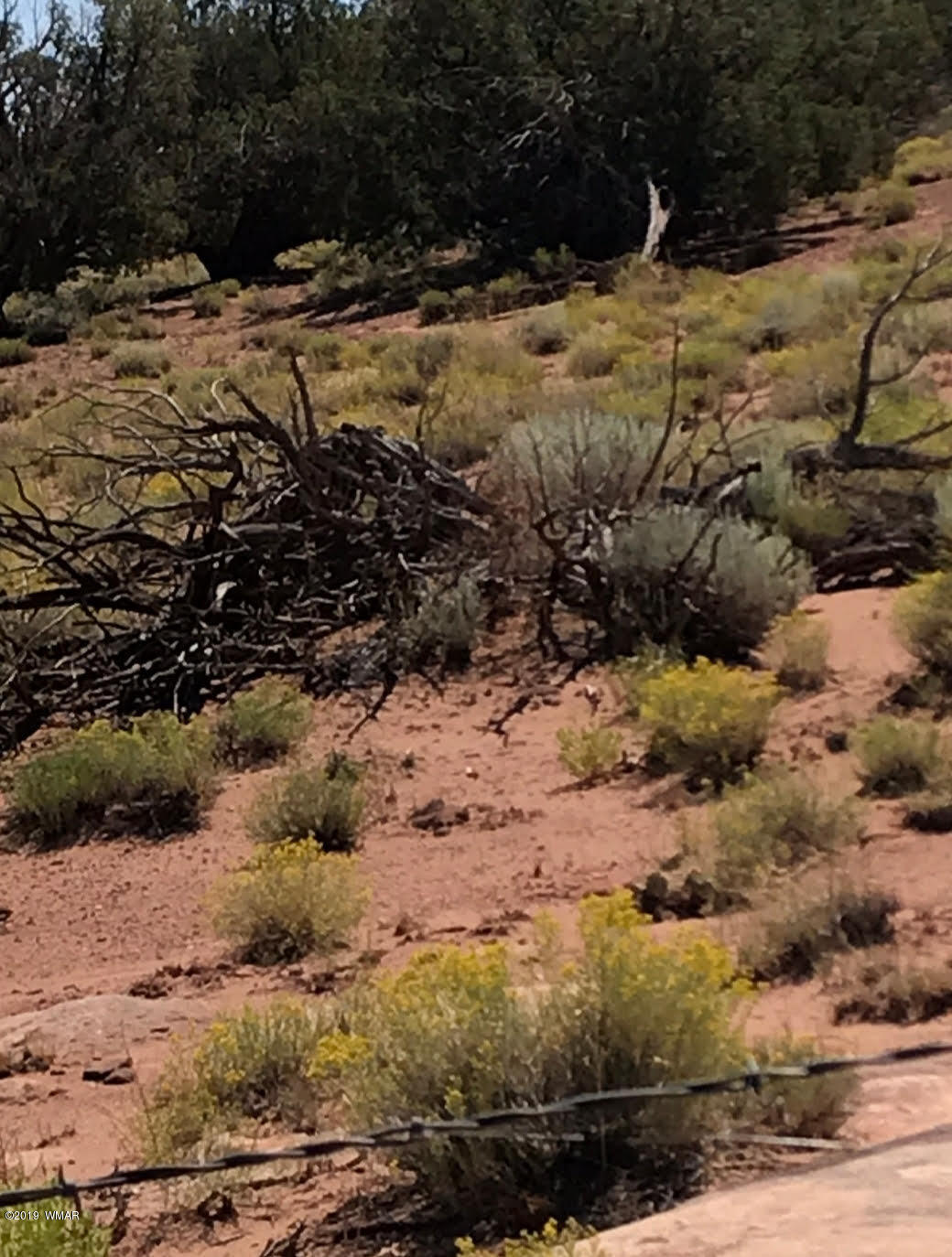 45 County Rd N9005 Concho, AZ 85924 - Photo 5 of 10 8