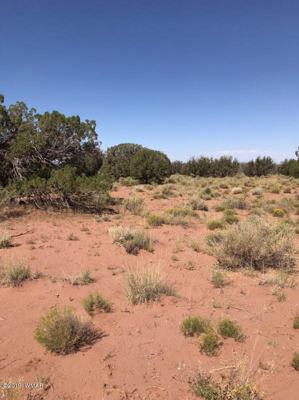 45 County Rd N9005 Concho, AZ 85924 - Photo 6 of 10 4