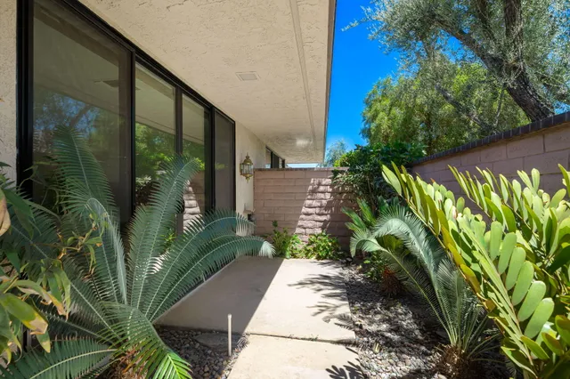 a view of a plant in a garden