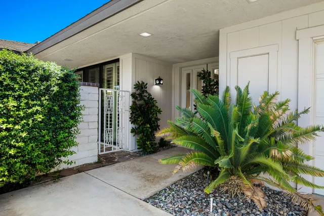 a potted plant sitting in front of a house