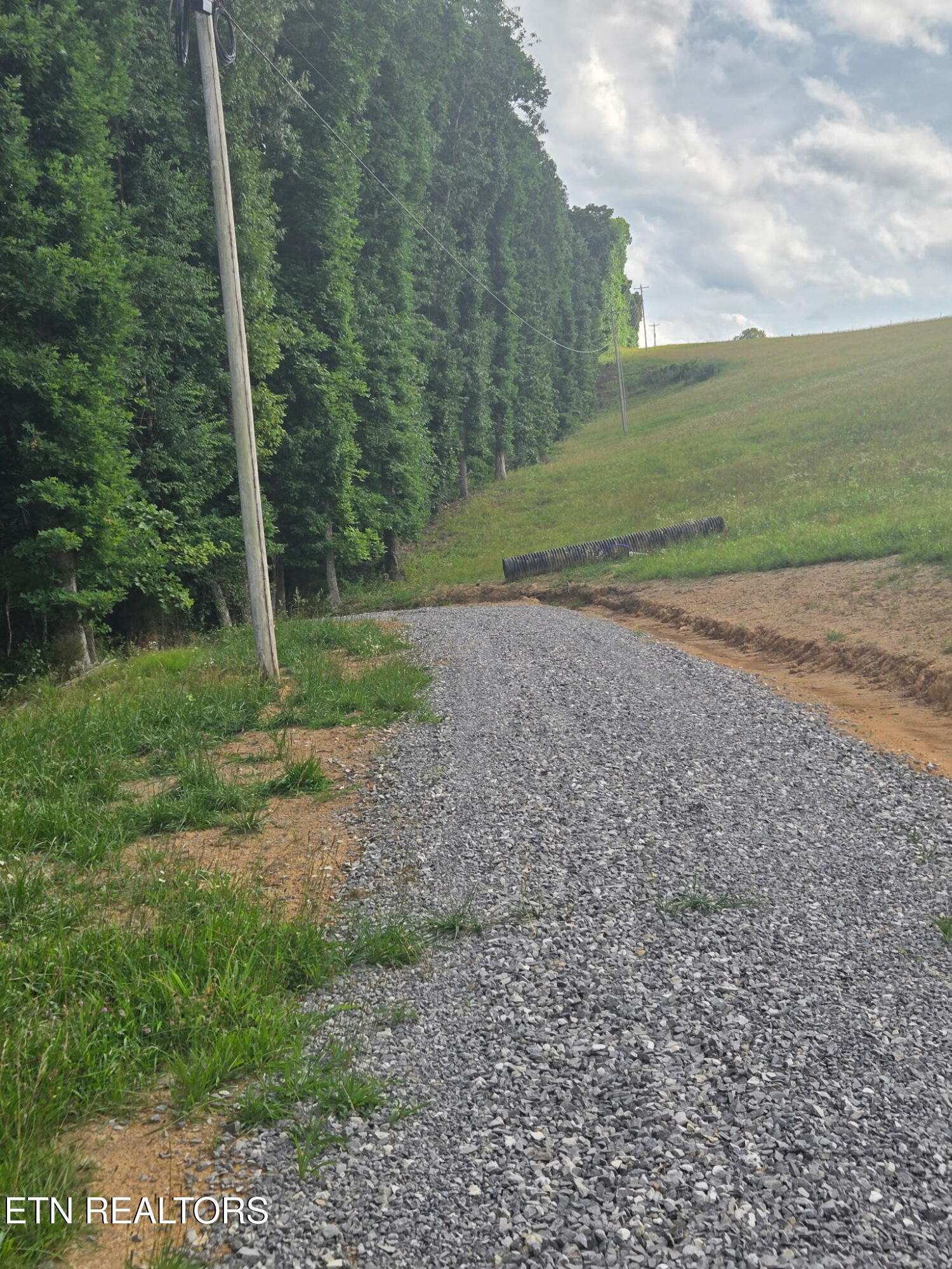 1460 Big Neck Road Grandview, TN 37337 - Photo 32 of 32 Driveway