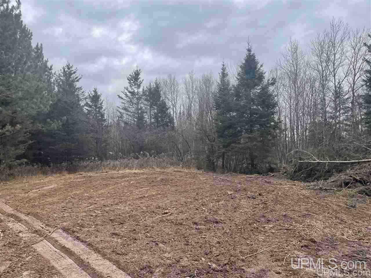 Tbd St Nicholas Road Rock, MI 49880 - Photo 19 of 22