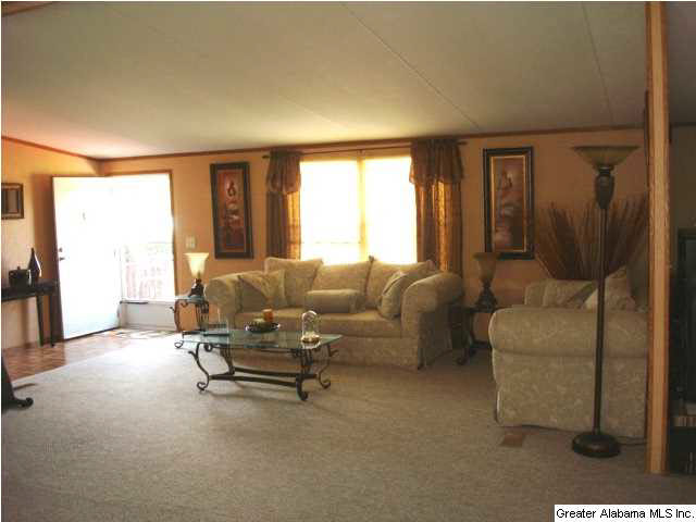 3587 Airport Road Oxford, AL 36203 - Photo 5 of 31