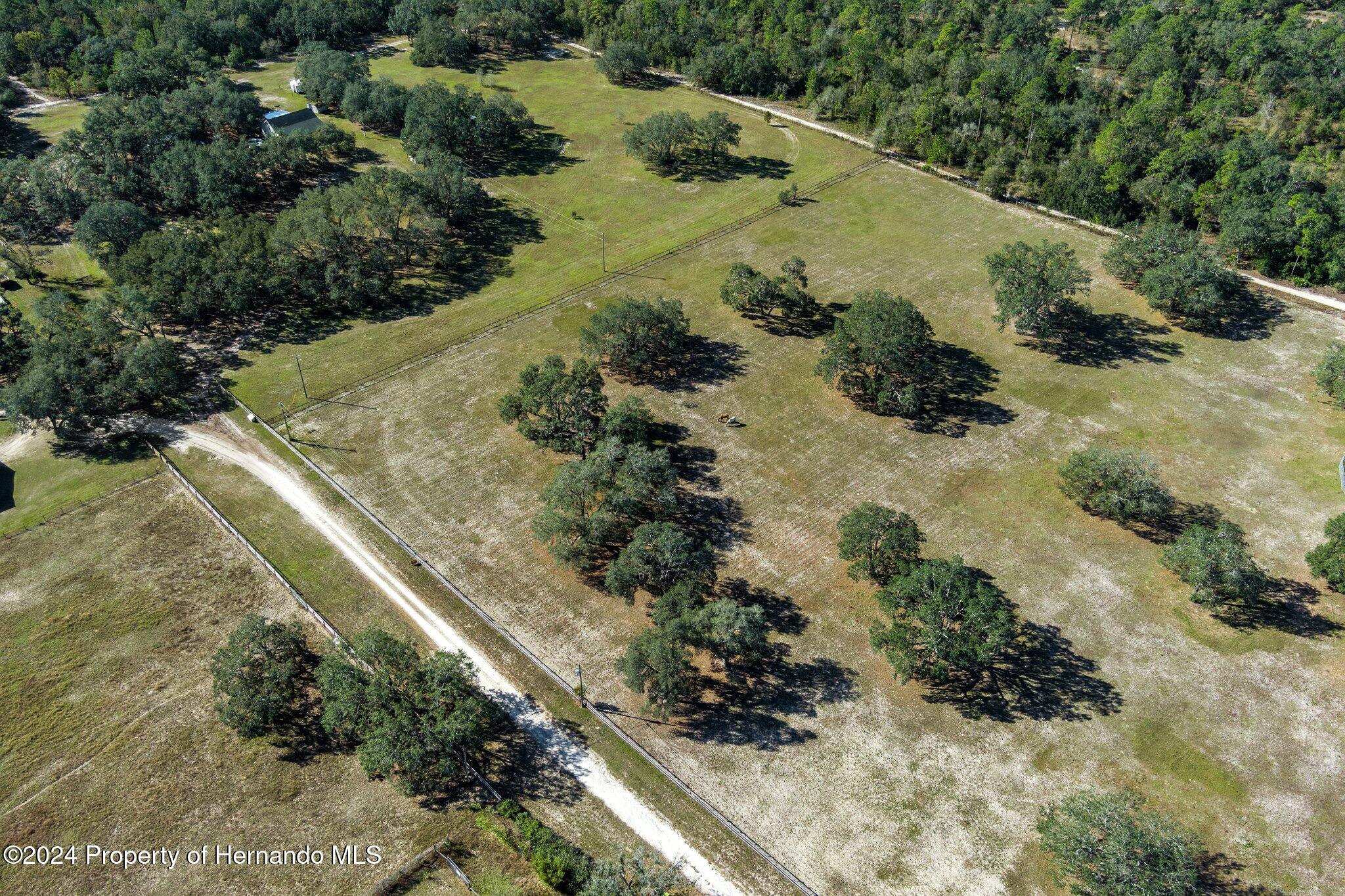 13383 Hurricane Drive Weeki Wachee, FL 34614 - Photo 18 of 18 a view of a yard with plants and trees