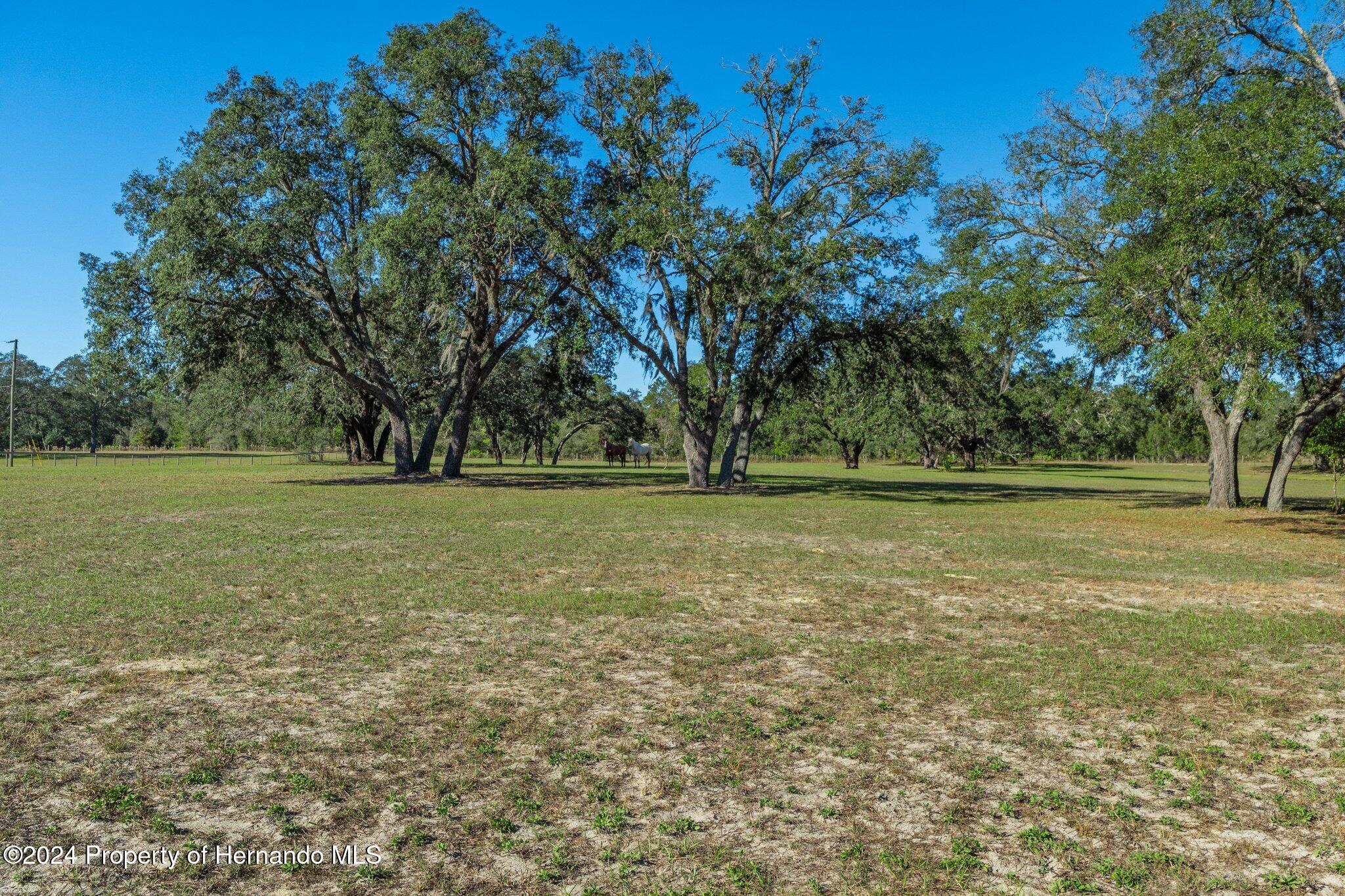 13383 Hurricane Drive Weeki Wachee, FL 34614 - Photo 3 of 18 a view of outdoor space with deck and yard