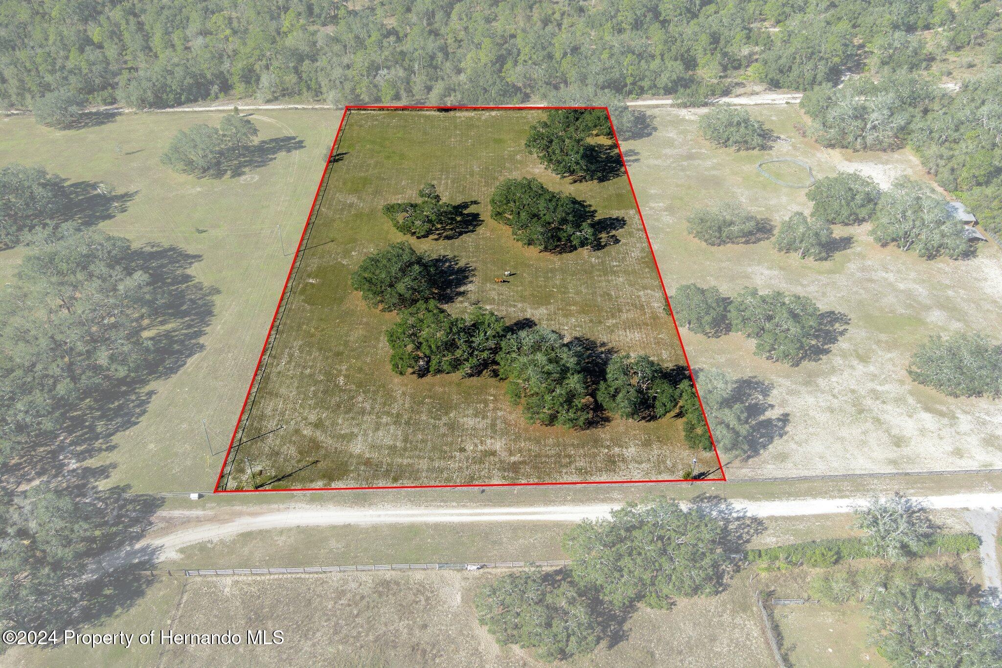 13383 Hurricane Drive Weeki Wachee, FL 34614 - Photo 6 of 18