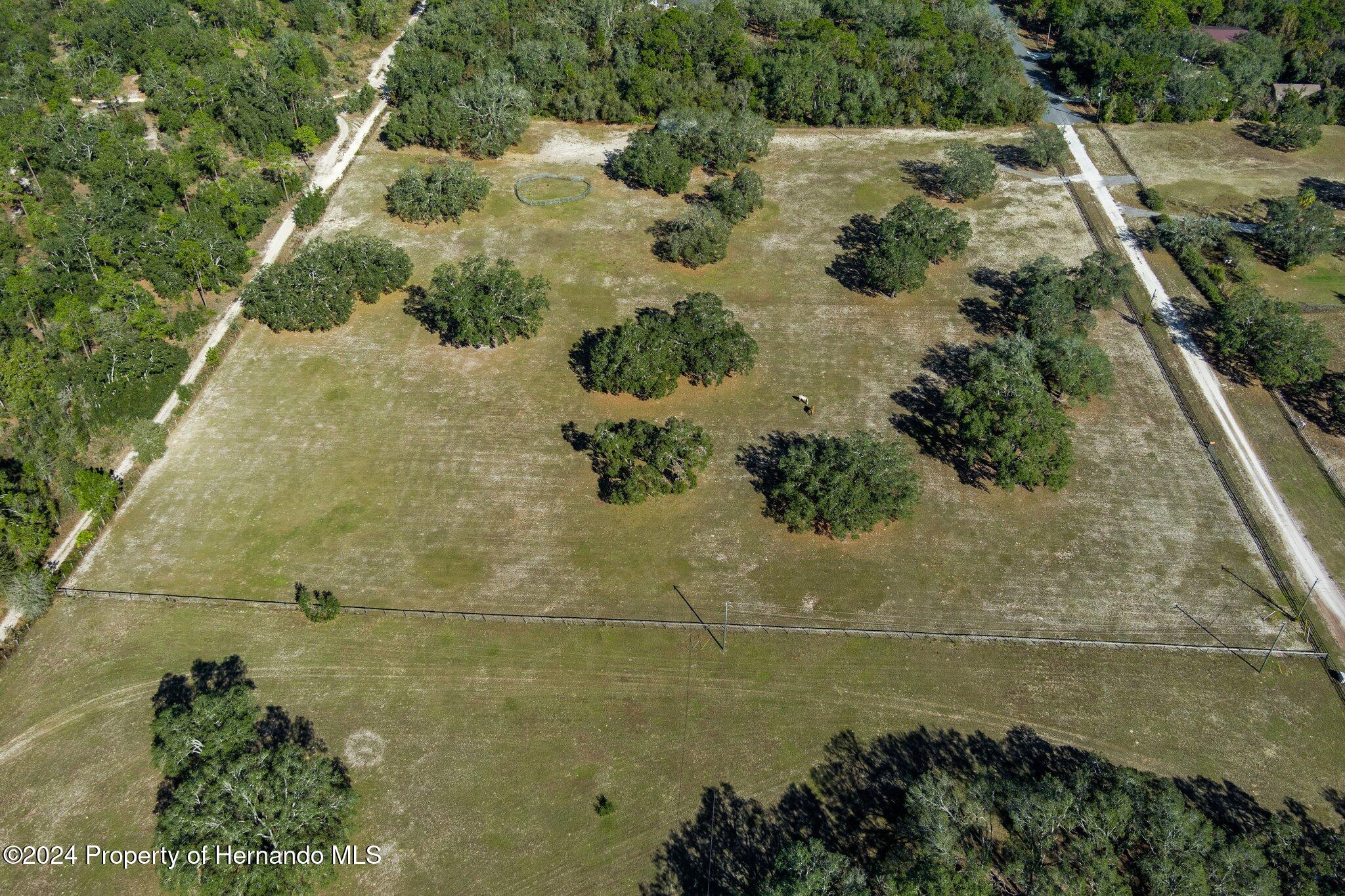 13383 Hurricane Drive Weeki Wachee, FL 34614 - Photo 8 of 18