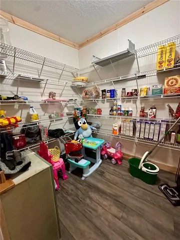 a view of a forest with a tree