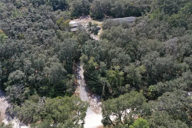a view of outdoor space and green space