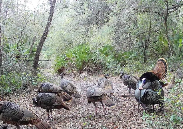 $574,900 | 4125 Tiger Creek Trail, Lake Wales, FL 33898