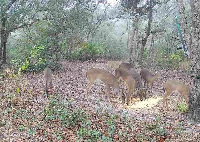 $574,900 | 4125 Tiger Creek Trail, Lake Wales, FL 33898