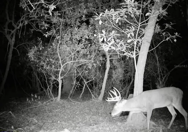 $574,900 | 4125 Tiger Creek Trail, Lake Wales, FL 33898