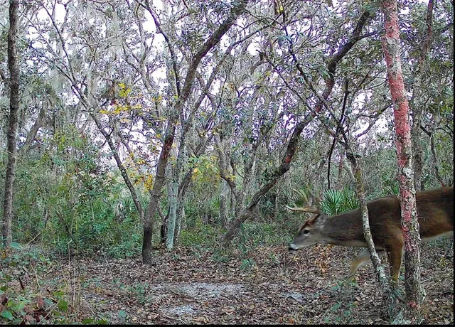 $574,900 | 4125 Tiger Creek Trail, Lake Wales, FL 33898