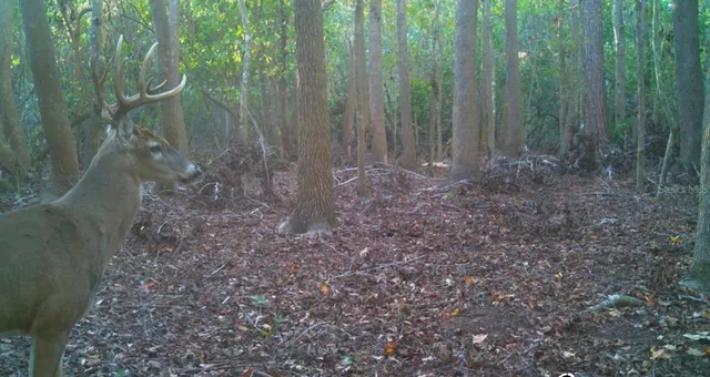 $574,900 | 4125 Tiger Creek Trail, Lake Wales, FL 33898