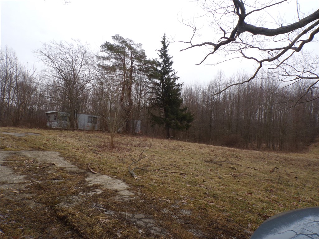 7293 State Line Road West Springfield, PA 16443 - Photo 2 of 8