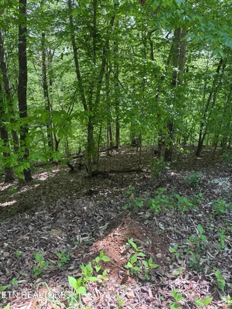 $24,900 | Grandpas Ridge, Sharps Chapel, TN 37866