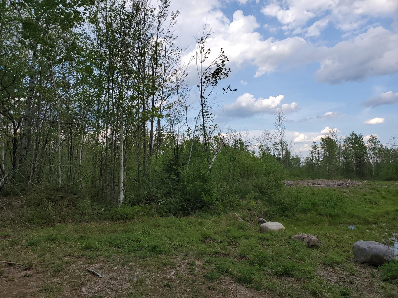 145 Smith Brook Road Oxbow, ME 04764 - Photo 3 of 6 20200528_164258