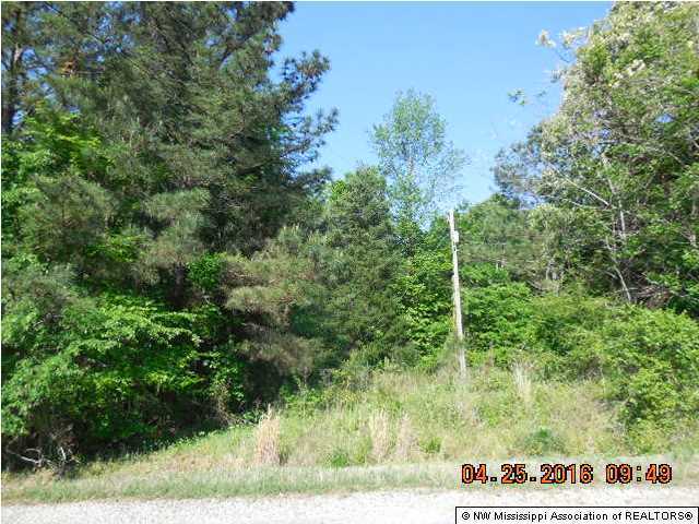 5 Doc Woody Road Coldwater, MS 38618 - Photo 2 of 3 Additional Photo