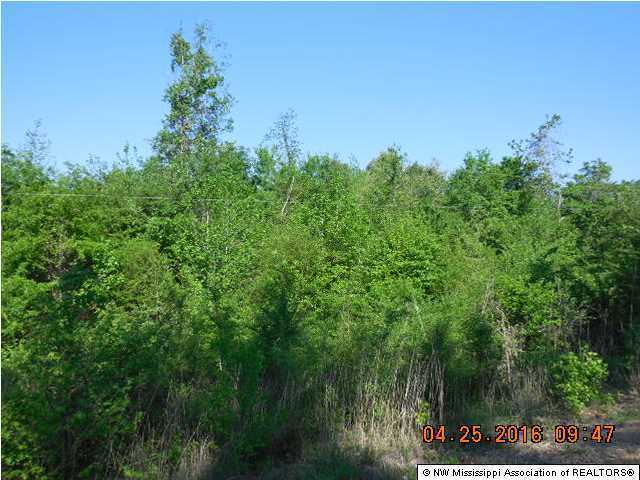5 Doc Woody Road Coldwater, MS 38618 - Photo 3 of 3 Additional Photo