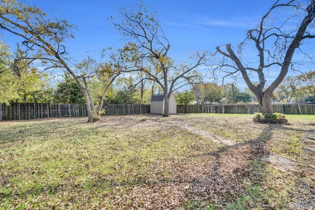 a view of backyard with tree