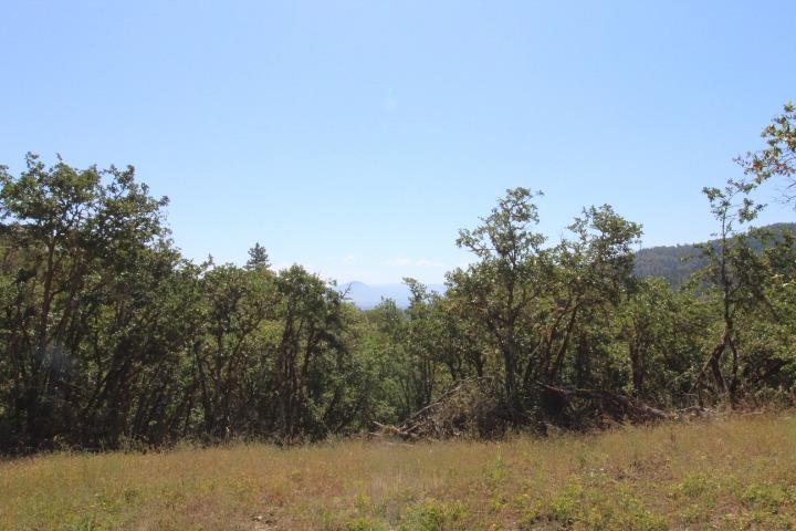 6723 Old Stage Road Central Point, OR 97502 - Photo 5 of 16 Additional Photo