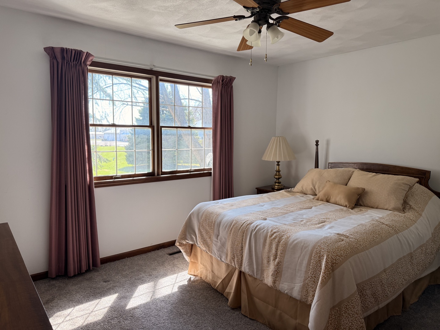 106 5th Street McNabb, IL 61335 - Photo 29 of 34