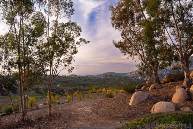 a view of a backyard with large trees