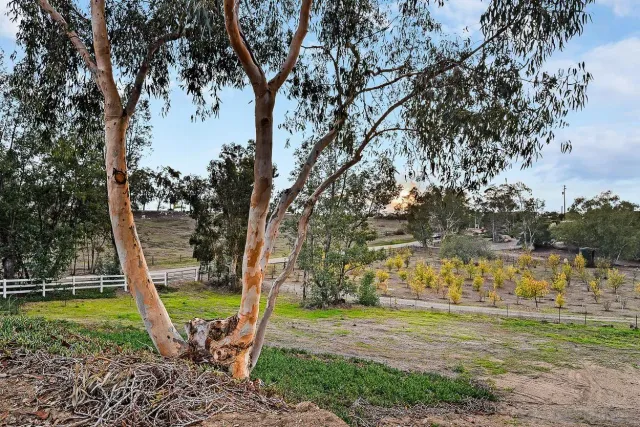 a view of a yard with wooden fence