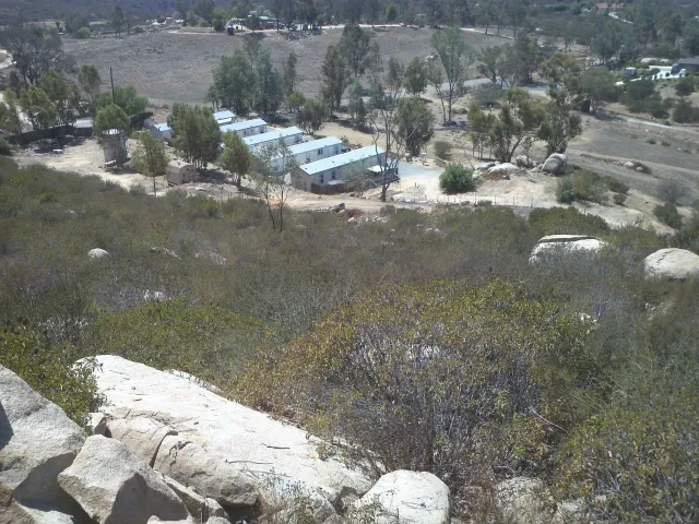 a view of a fire pit in middle of forest