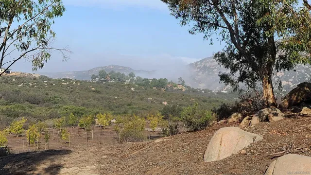 a view of a street with a building in the background
