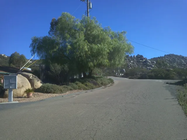 a view of a yard with large trees