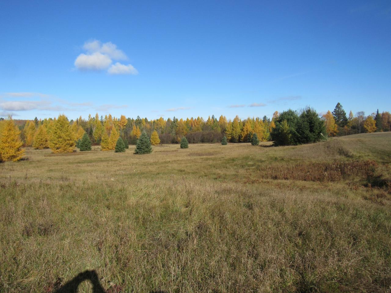 Tbd Homestead Joint Road Fence, WI 54120 - Photo 6 of 24 Gallery Image 6