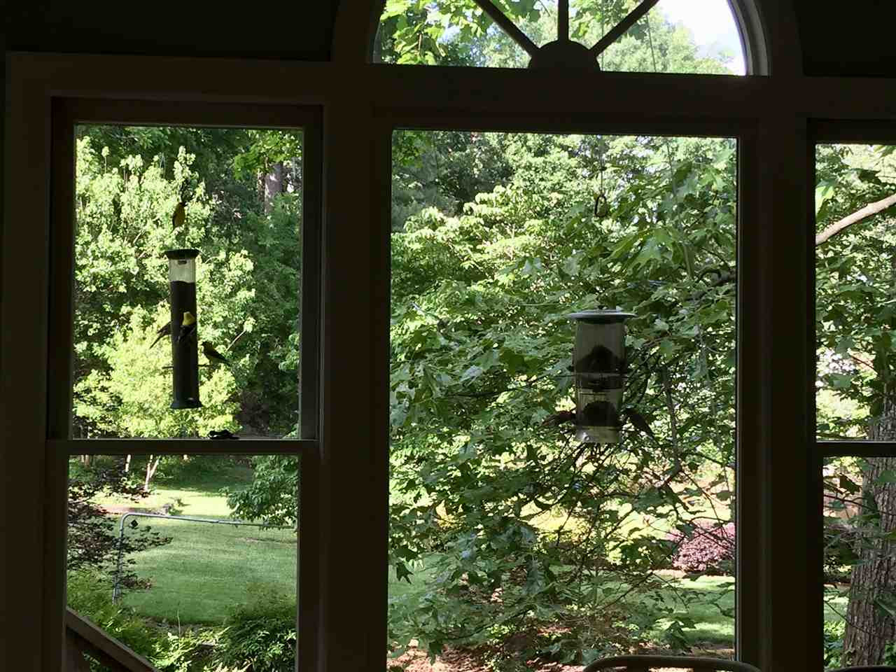 2804 Royster Street Raleigh, NC 27608 - Photo 17 of 20 Photo 22