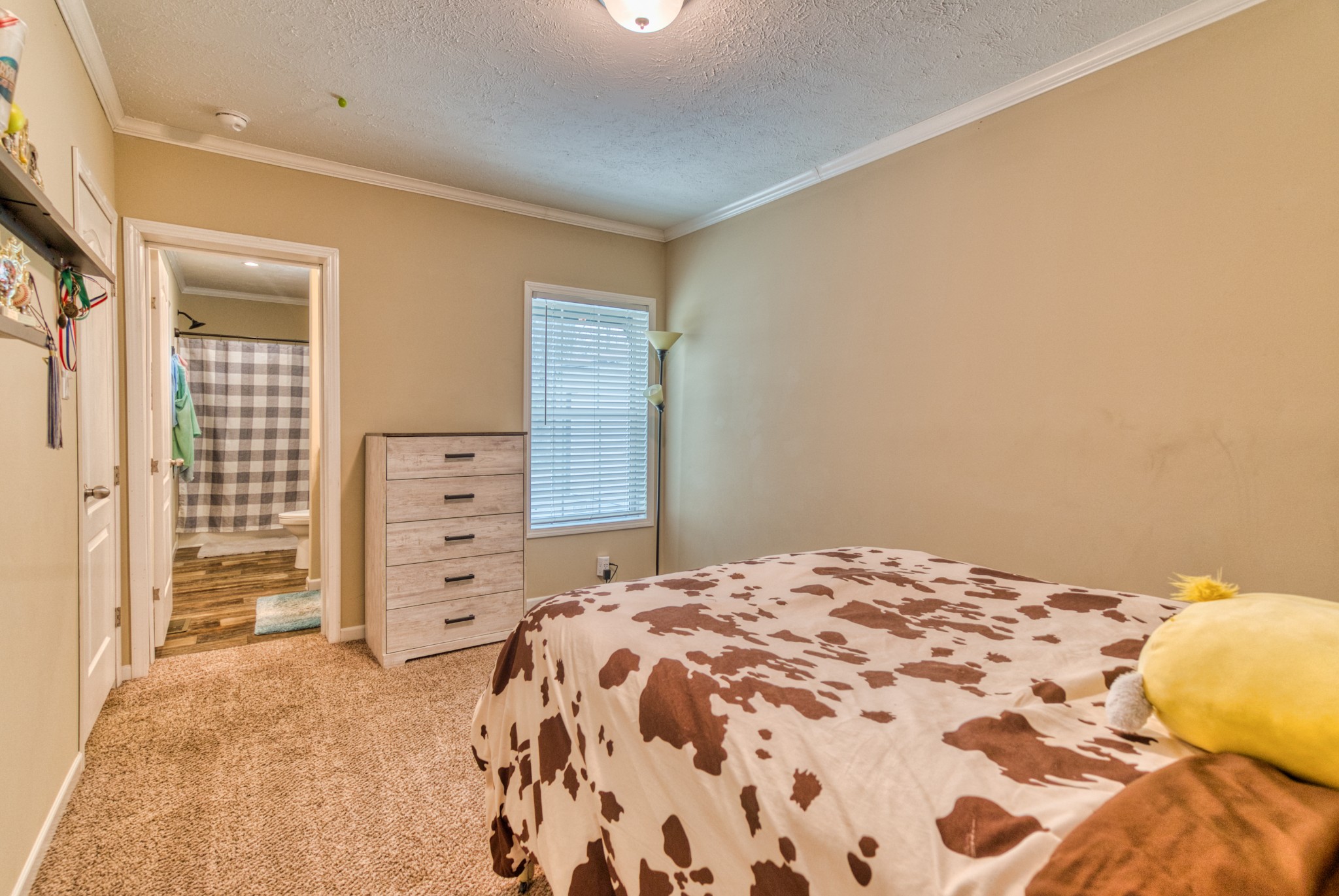 721 Spa Road Lewisburg, KY 42256 - Photo 51 of 56 a bedroom with a bed and closet