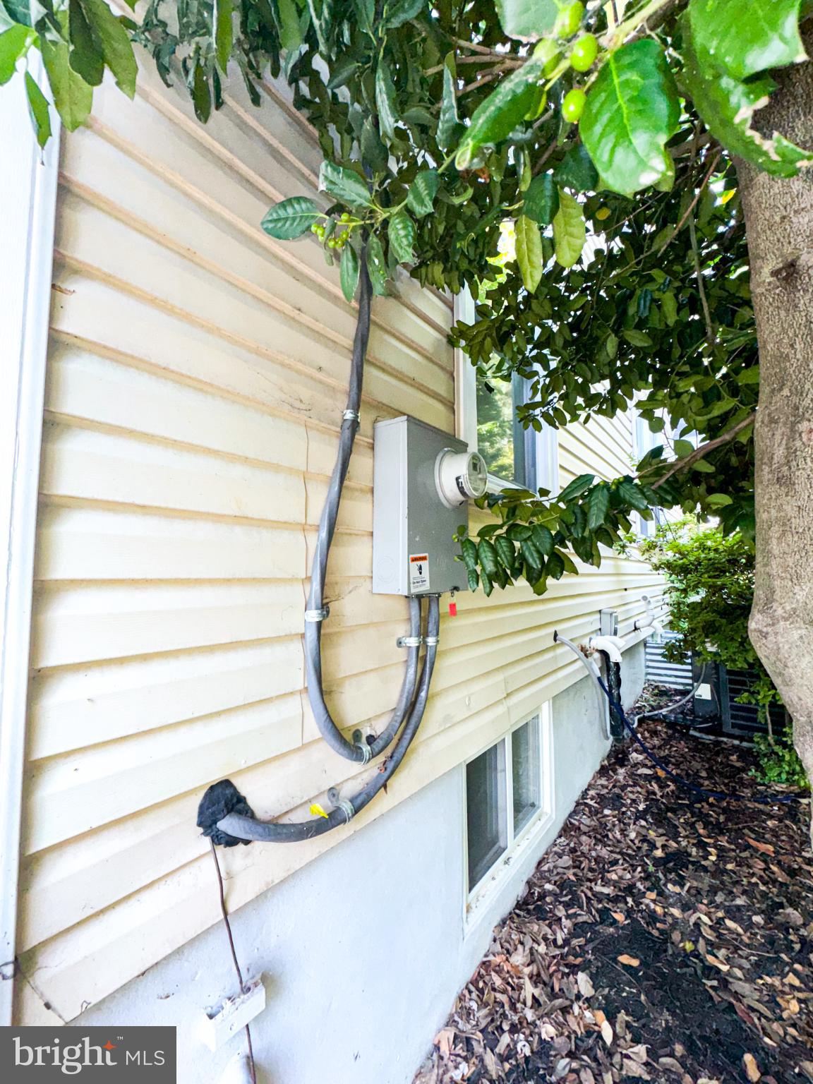 4105 30th Street Mount Rainier, MD 20712 - Photo 68 of 98 Utility connection nestled in greenery.