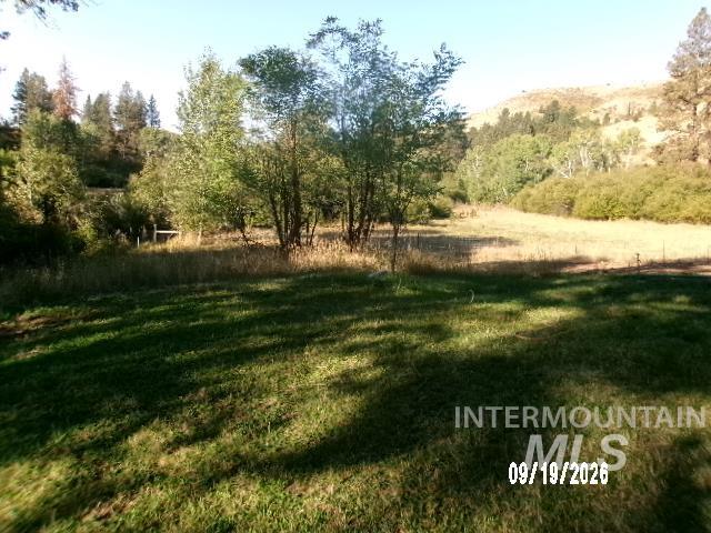 31997 2nd Fork Road Ola, ID 83657 - Photo 38 of 47 Expansive grassy area with mature trees and natural landscaping