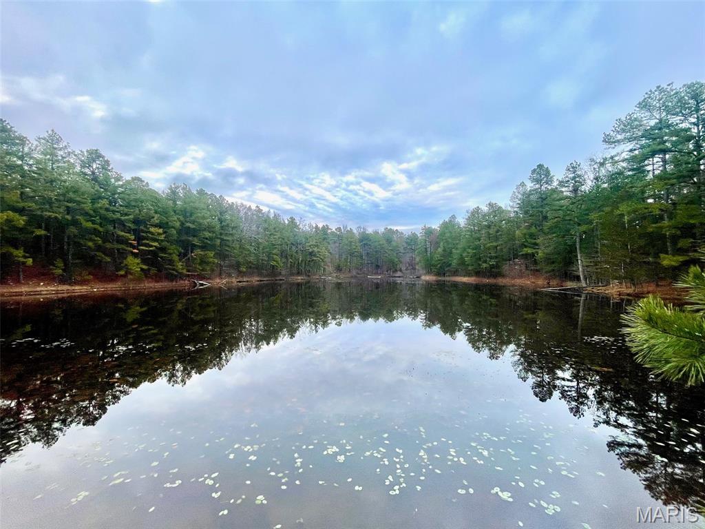 1789 Bloomfield Road Fredericktown, MO 63645 - Photo 12 of 73