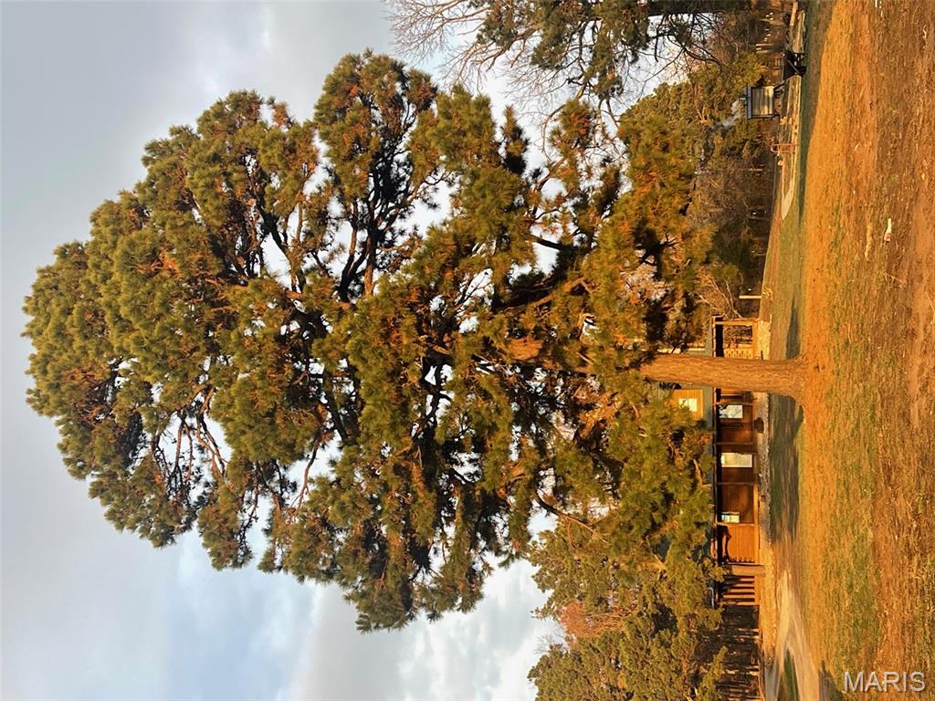 1789 Bloomfield Road Fredericktown, MO 63645 - Photo 17 of 73