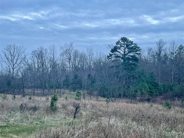 $649,900 | 1789 Bloomfield Road, Fredericktown, MO 63645