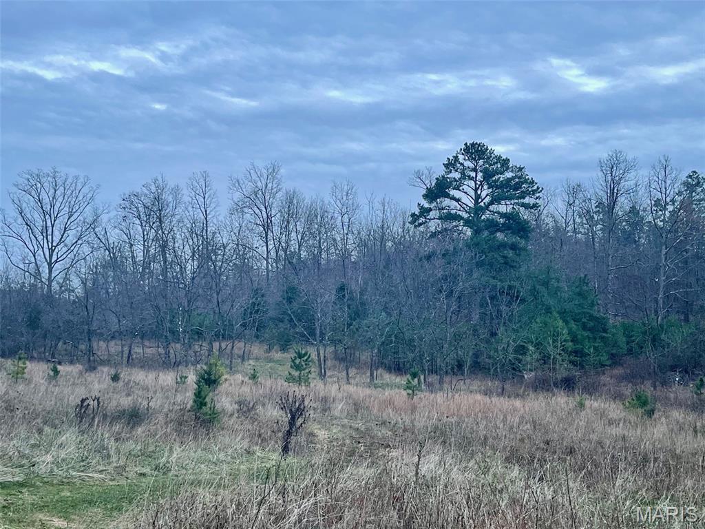 1789 Bloomfield Road Fredericktown, MO 63645 - Photo 64 of 73