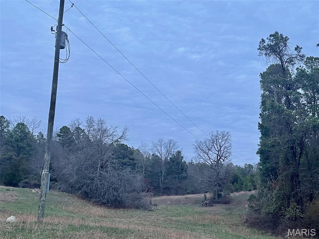 1789 Bloomfield Road Fredericktown, MO 63645 - Photo 65 of 73