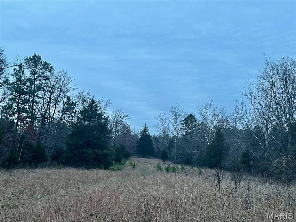 1789 Bloomfield Road Fredericktown, MO 63645 - Photo 70 of 73