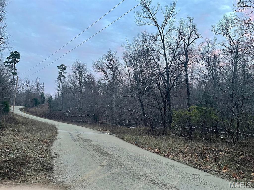 1789 Bloomfield Road Fredericktown, MO 63645 - Photo 73 of 73