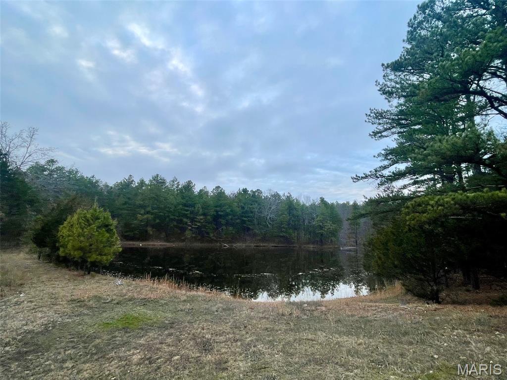 1789 Bloomfield Road Fredericktown, MO 63645 - Photo 8 of 73