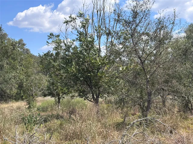 a view of a yard with a tree